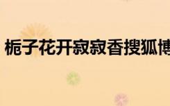 栀子花开寂寂香搜狐博客（栀子花开寂寂香）