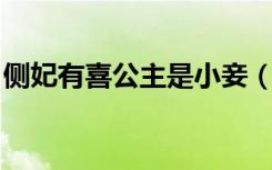 侧妃有喜公主是小妾（侧妃有喜 公主是小妾）