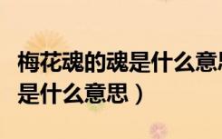 梅花魂的魂是什么意思具体解释（梅花魂的魂是什么意思）
