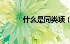 什么是同类项（什么是同类项）