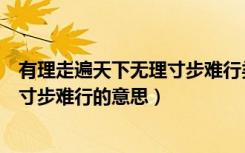 有理走遍天下无理寸步难行类似的句子（有理走遍天下无理寸步难行的意思）