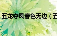 五龙夺凤春色无边（五龙夺凤全文免费阅读）