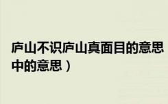 庐山不识庐山真面目的意思（不识庐山真面目 只缘身在此山中的意思）