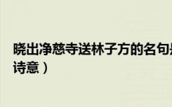 晓出净慈寺送林子方的名句是什么（晓出净慈寺送林子方的诗意）