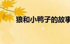 狼和小鸭子的故事（小鸭子的故事）