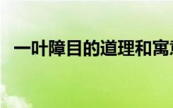 一叶障目的道理和寓意（一叶障目的道理）