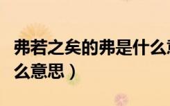 弗若之矣的弗是什么意思（自愧弗如的弗是什么意思）