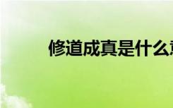 修道成真是什么意思（修行成真）