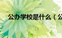 公办学校是什么（公办学校是什么意思）