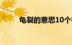 龟裂的意思10个字（龟裂的意思）