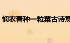 悯农春种一粒粟古诗意思（悯农春种一粒粟）