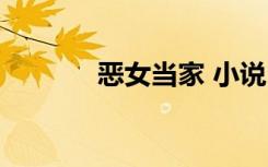 恶女当家 小说（极恶女当家）