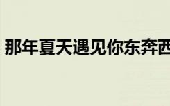那年夏天遇见你东奔西顾（那年夏天遇见你）