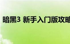 暗黑3 新手入门版攻略（暗黑3 新手入门版）