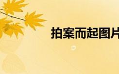 拍案而起图片（拍案而起）