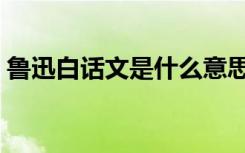 鲁迅白话文是什么意思（白话文是什么意思）