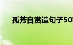 孤芳自赏造句子50字（孤芳自赏造句）