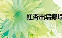 红杏出墙挪墙（红杏砸墙）