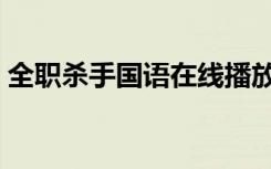 全职杀手国语在线播放西瓜（全职杀手国语）