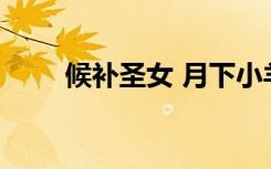 候补圣女 月下小羊（候补圣女txt）
