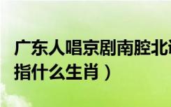 广东人唱京剧南腔北调指什么生肖（南腔北调指什么生肖）