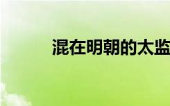 混在明朝的太监（混在明朝txt）