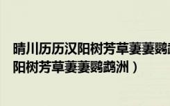 晴川历历汉阳树芳草萋萋鹦鹉洲所展现的画面（晴川历历汉阳树芳草萋萋鹦鹉洲）