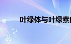 叶绿体与叶绿素的区别（叶绿体）