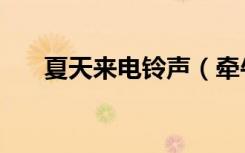 夏天来电铃声（牵牛的夏天手机铃声）