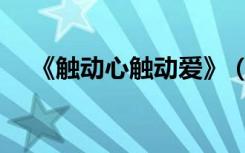 《触动心触动爱》（触动心触动爱伴奏）