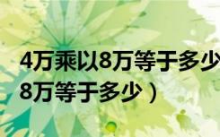 4万乘以8万等于多少你真的知道吗（4万乘以8万等于多少）