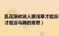 乱花渐欲迷人眼浅草才能没马蹄内涵（乱花渐欲迷人眼浅草才能没马蹄的意思）
