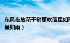 东风夜放花千树更吹落星如雨译文（东风夜放花千树 更吹落星如雨）