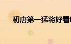 初唐第一猛将好看吗（初唐第一猛将）