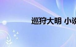 巡狩大明 小说（巡狩大明）