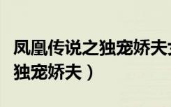凤凰传说之独宠娇夫女尊笔趣阁（凤凰传说之独宠娇夫）