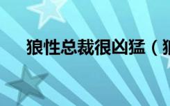 狼性总裁很凶猛（狼性总裁的尤物txt）