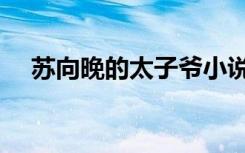 苏向晚的太子爷小说（苏向晚的太子爷）