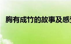 胸有成竹的故事及感受（胸有成竹的故事）
