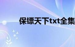 保镖天下txt全集下载（保镖天下）