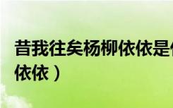 昔我往矣杨柳依依是什么意思（昔我往矣杨柳依依）