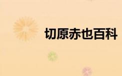 切原赤也百科（切原赤也bg）