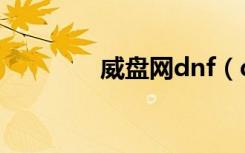 威盘网dnf（dnf连发威盘）