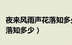 夜来风雨声花落知多少的意思（夜来风雨声花落知多少）