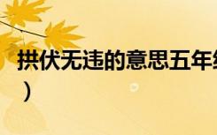 拱伏无违的意思五年级下册（拱伏无违的意思）