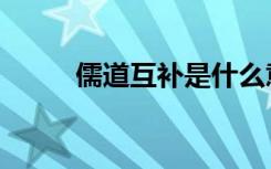 儒道互补是什么意思（儒道互补）