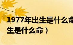 1977年出生是什么命五行属什么（1977年出生是什么命）