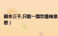 弱水三千,只取一瓢饮是啥意思（弱水三千只取一瓢饮什么意思）