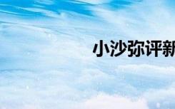 小沙弥评新股（小沙）