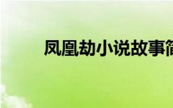 凤凰劫小说故事简介（凤凰劫txt）